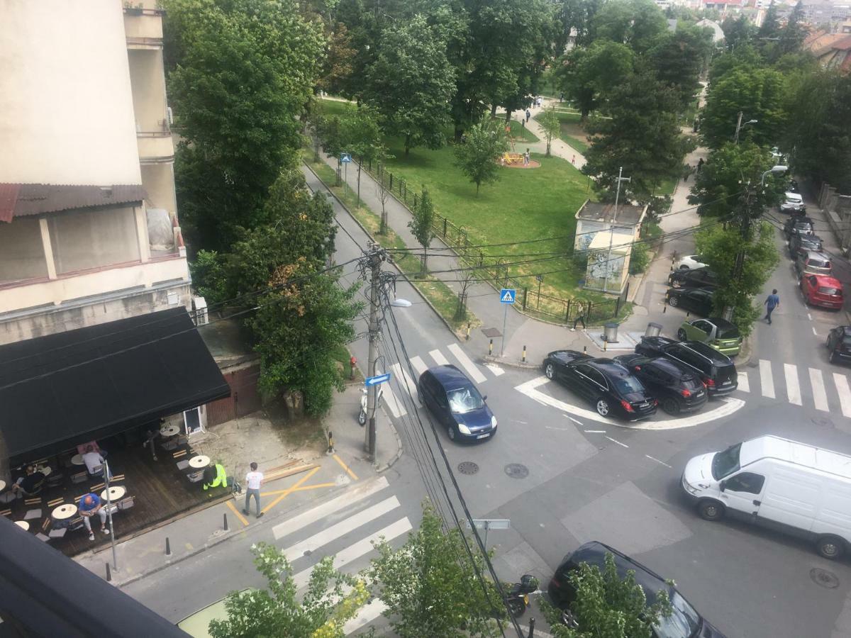 Lion Nest * Belgrade