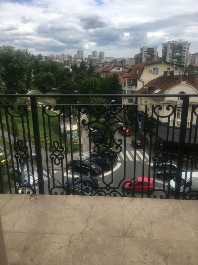 Apartment Lion Nest